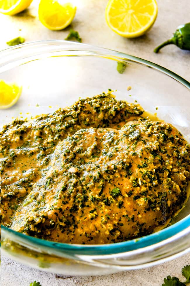 [CILANTRO_LEMON_MARINATED_THIGHTS_SKEWERS] Cilantro Lemon Marinated Thights Skewers