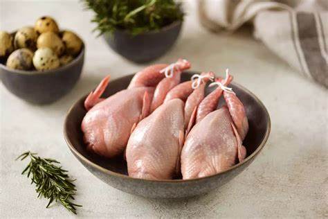 [QUAIL] Quail