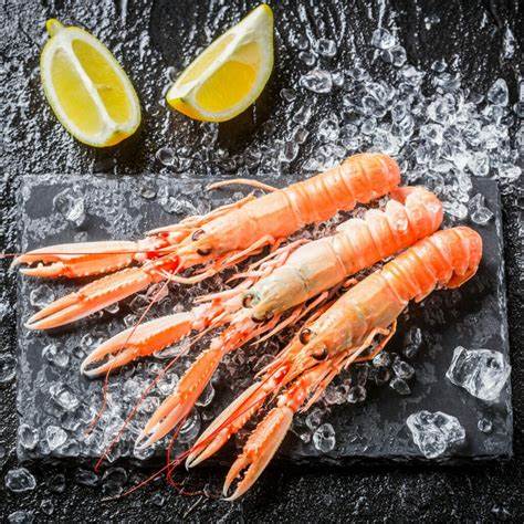 [FROZEN_DANISH_LANGOUSTINES_4_8] Frozen Danish Langoustines 4/8